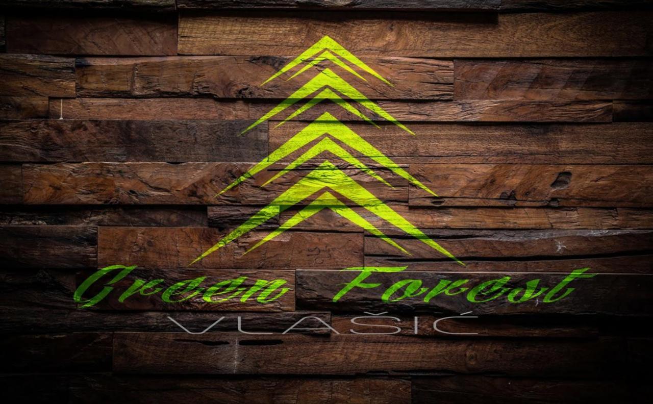 Green Forest Vlasic Bagian luar foto