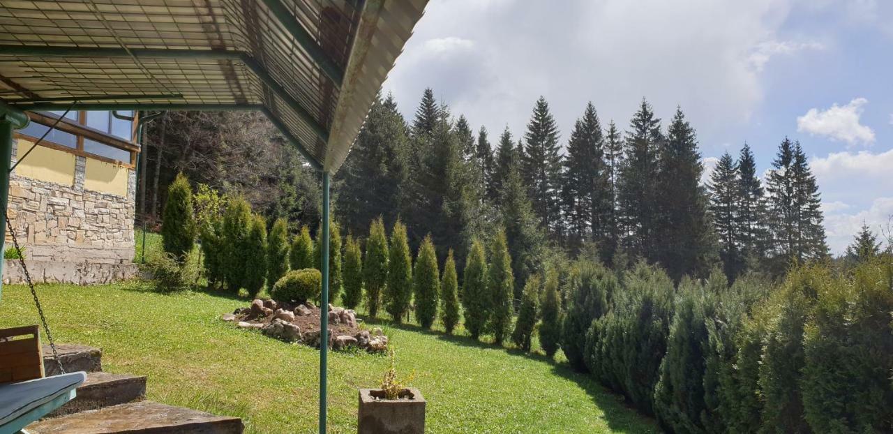 Green Forest Vlasic Bagian luar foto